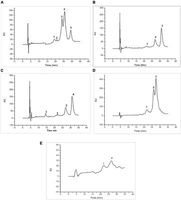 Amino acids and protein profiles of defatted camel and cow milk fractions: correlation with their in vitro antioxidant and antidiabetic activities